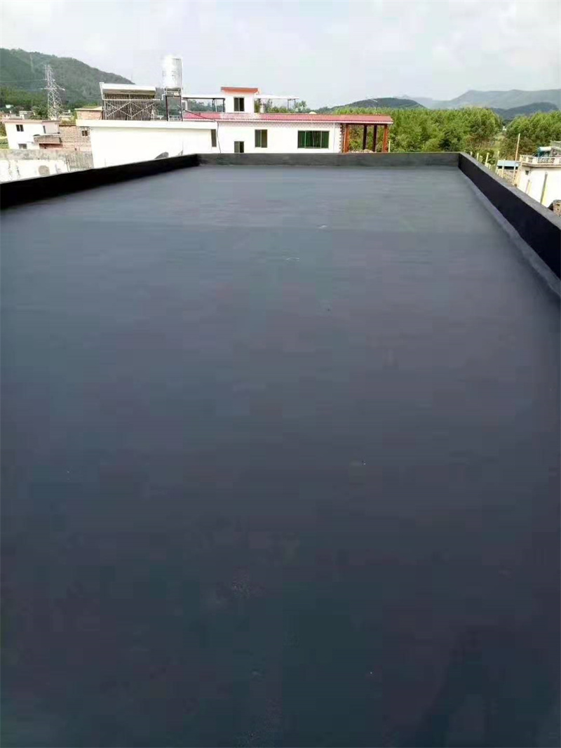 Polyurethane Waterproof Coating - Image 5