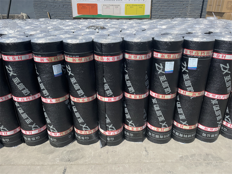 SBS Modified Asphalt Waterproof Membrane - Image 6