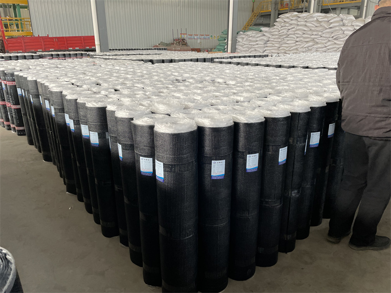 SBS Modified Asphalt Waterproof Membrane - Image 7